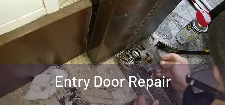 Entry Door Repair